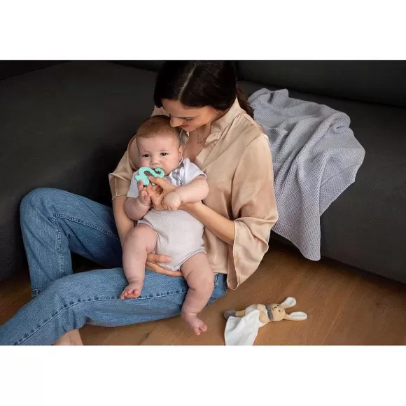 Chicco Massaggiagengive Soft Iguana Con Setole Morbide | Massaggiagengive