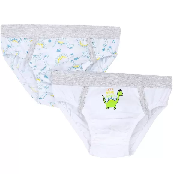Chicco Set Intimo Slip Con Dinosauri | Intimo